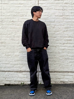 style_img