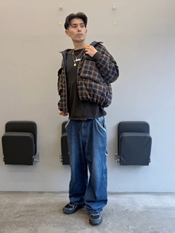 style_img