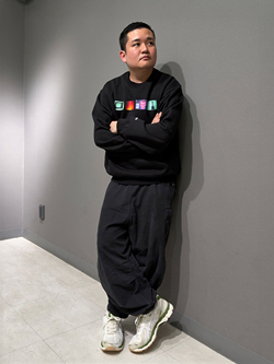 style_img