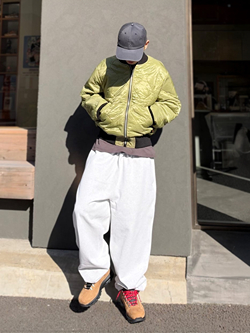 style_img